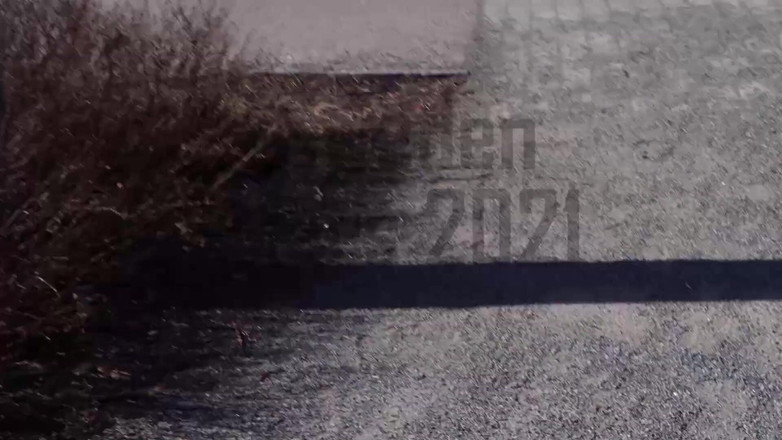 Eronordic: Ольга смокче незнайомий член