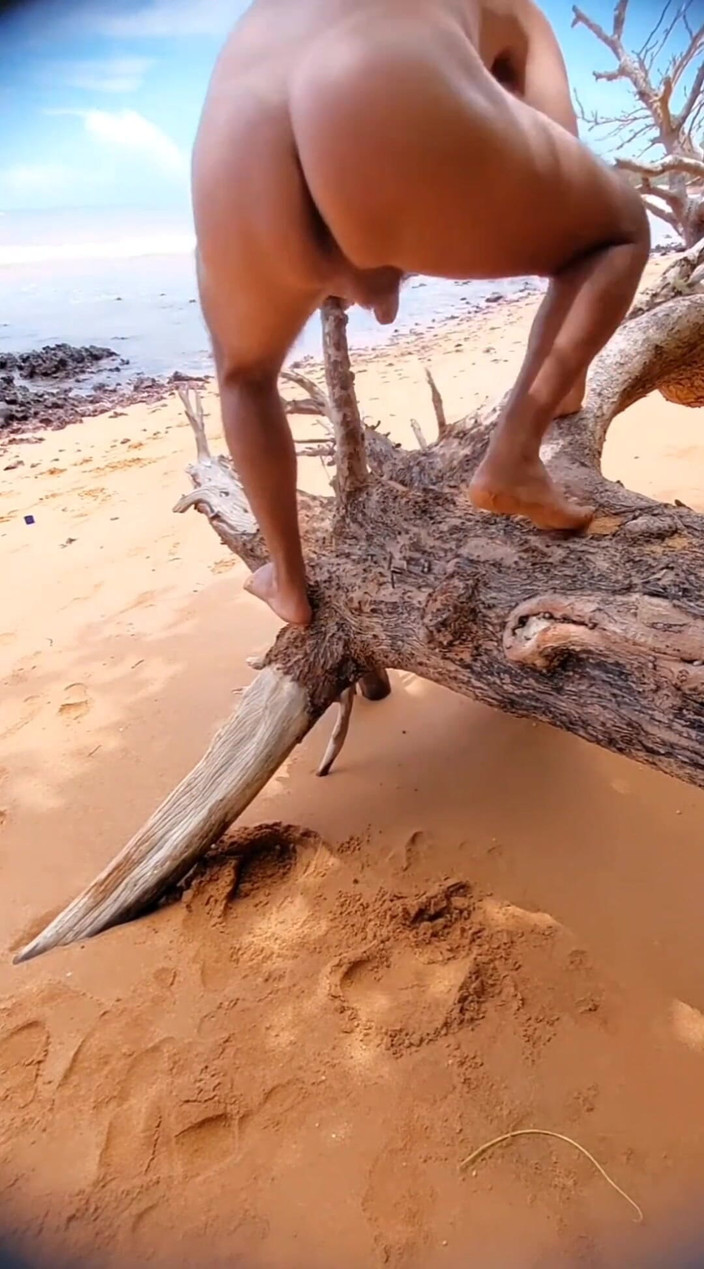 Ladysilvas: Ladysilva