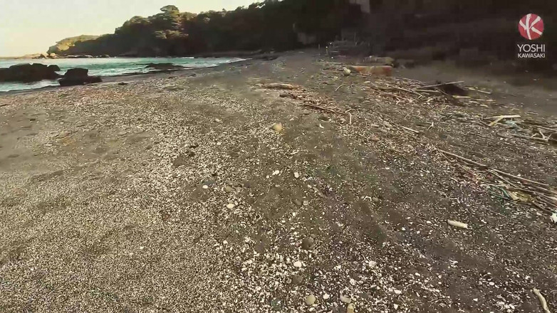 Yoshi Kawasaki XXX: Yoshikawasakixxx - lubang yoshi kawasaki menganga axel abysse