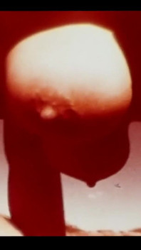 Vintage porno retro teatr erotyczny - owoce deserowe