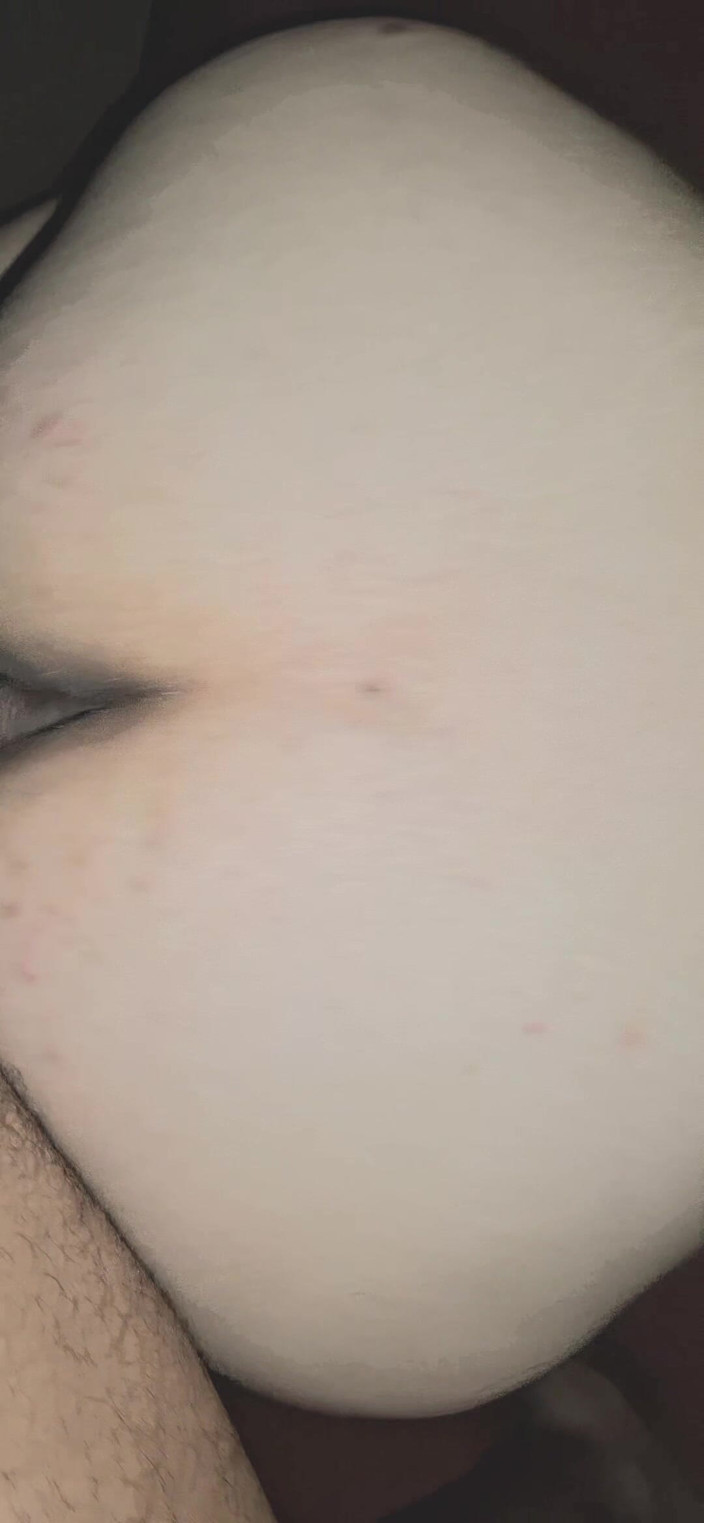 Vecinaculona: A pecorina