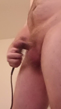 Cock Clamp