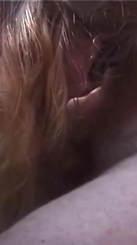 BDSM Groupsex with Amateur Girl Angie