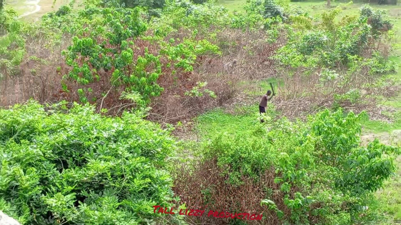 Tall_lizzy23: Kompilasi lucah buatan sendiri Afrika Musim Satu