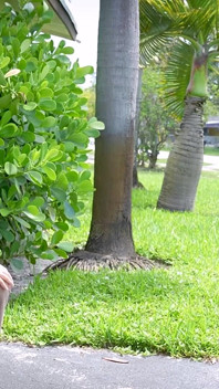 Bí mật bẩn thỉu của đại lý bất động sản Jezabel: bất kỳ người mua tiềm năng nào có thể đụ trong khi hiển thị tài sản