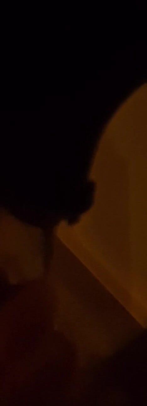 Vivi Reign: Loving Sucking His Dick Emotions