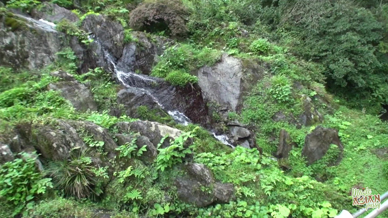 Magic Asian Pussy: It Was the Perfect Time for These Two Guys to...