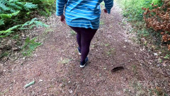 Bouncy Tits Action: 272 Titslaps v Open Nature