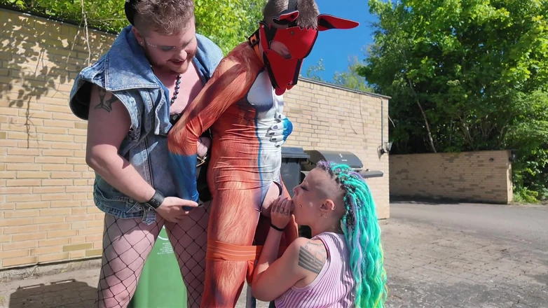 EdgesOfReality: Sneeky Fox Gets in Trouble!
