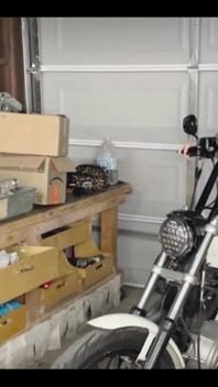 Nude Sportster Oil Change!