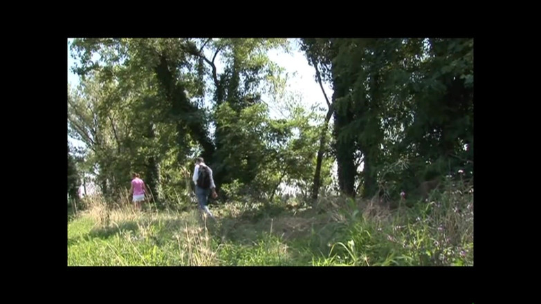 FM Video VOD: Zia's Private Lessons - (original Full Movie Uncut)