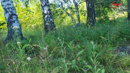 Anna Fire: ¡Quiero follar ahora mismo! Vamos al bosque ... - en primer plano...