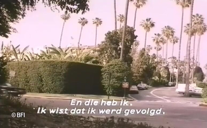 Vintage Vixens: Beverly hills vintage sex tape - legendas holandesas
