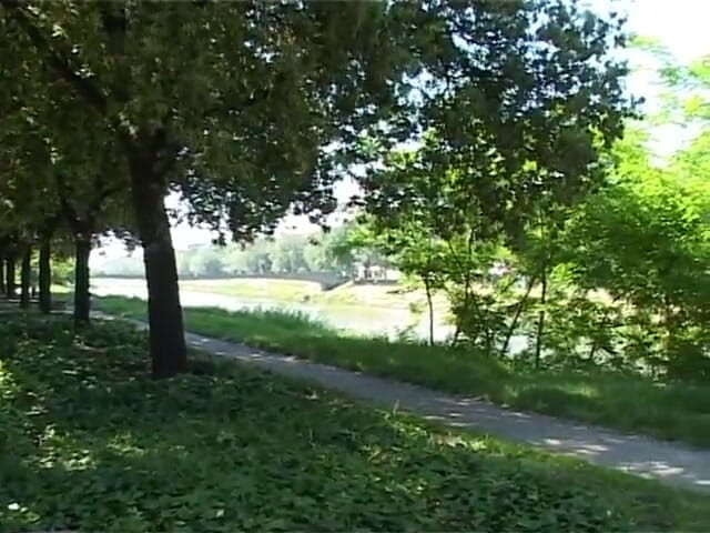 King Of Amateur: Đút cu vào miệng con đĩ La Mã này