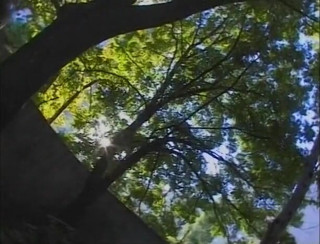 Lucky Cooch: Busty whore spitroasted in outdoor threesome by old fellas