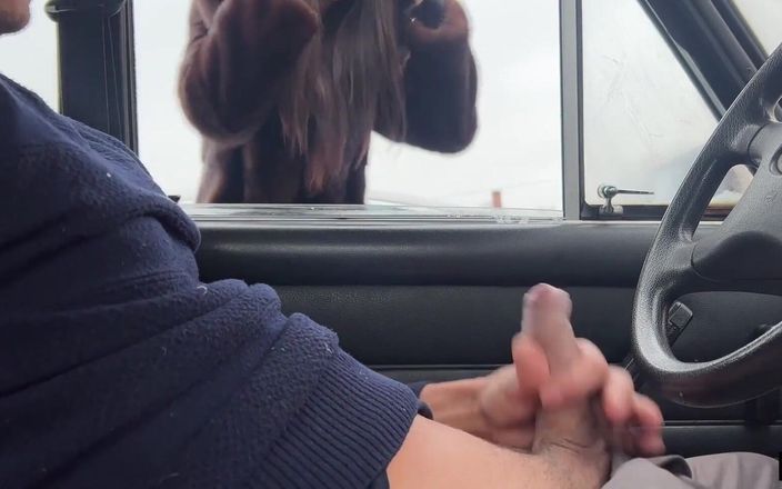 Dis Diger: Cizinec mi honil oknem auta na parkovišti