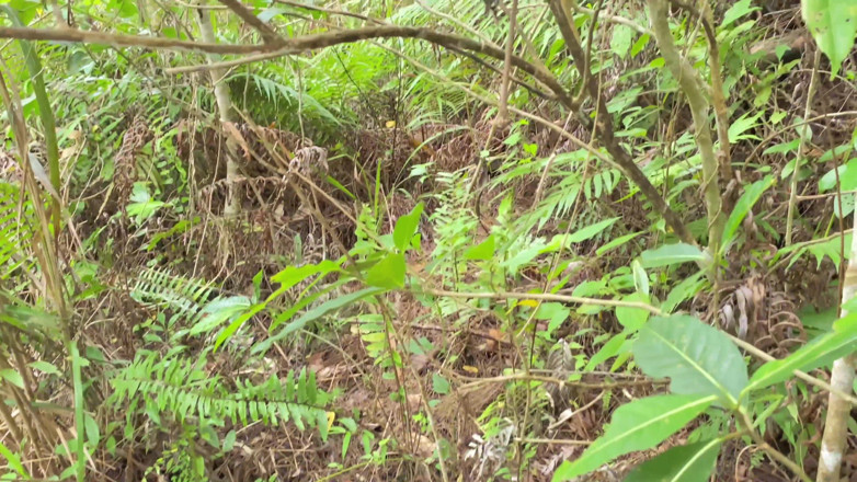 Pinay Shena Mae: Nature Is the Best Therapy.