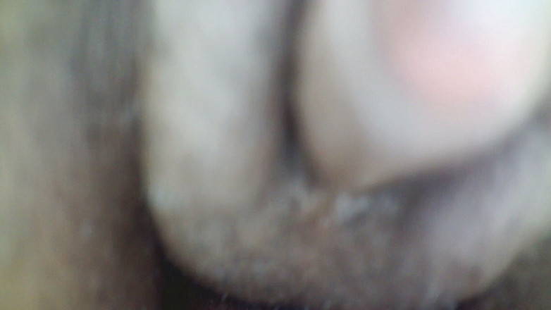 AceTransMan: Trans4 Besar Hitam Anda Tanpa Audio