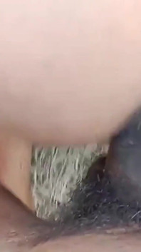 bhaartiy sauteli beti saari men aautdor jangal men dogi seks karti hai