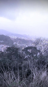악마의 숲 산책과 최고의 환각