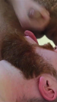 Bears Having Fun Part 2