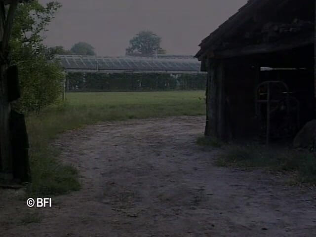 Dutch Desire Nights: DVD Xkiss - seks polder