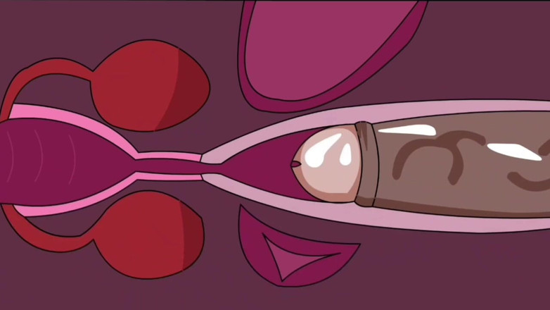 Animate golden: Eiaculazione interna 2 (animazione)