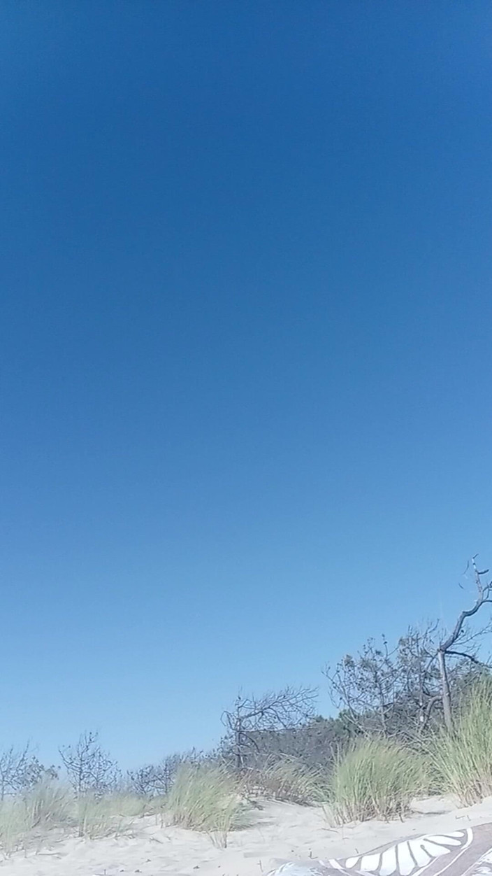 Littledragon33: ビーチでは暑いです