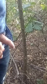 He pisses in the woods and has a quick wank