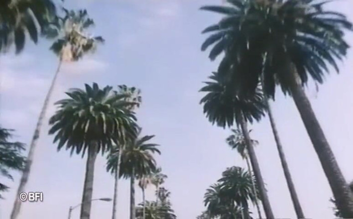 Vintage Vixens: Beverly hills vintage sex tape - dutch subtitles