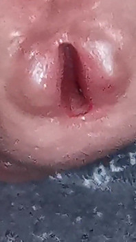 The Dick Growls at Its Owner