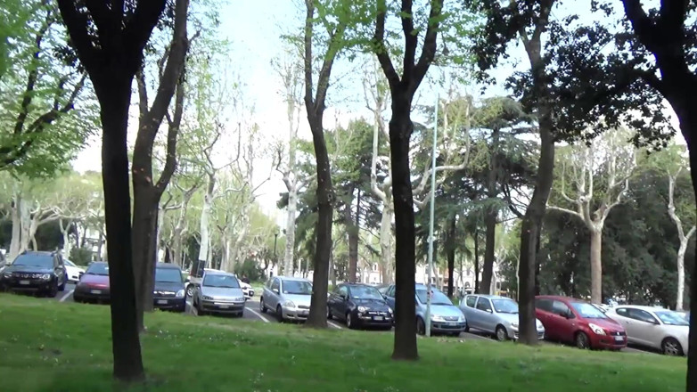 King Of Amateur: La puta del jardín
