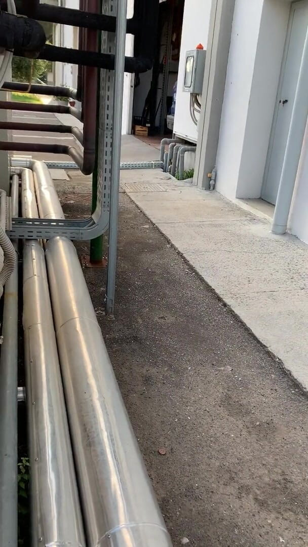 Timidastella: Blowjob in the yard