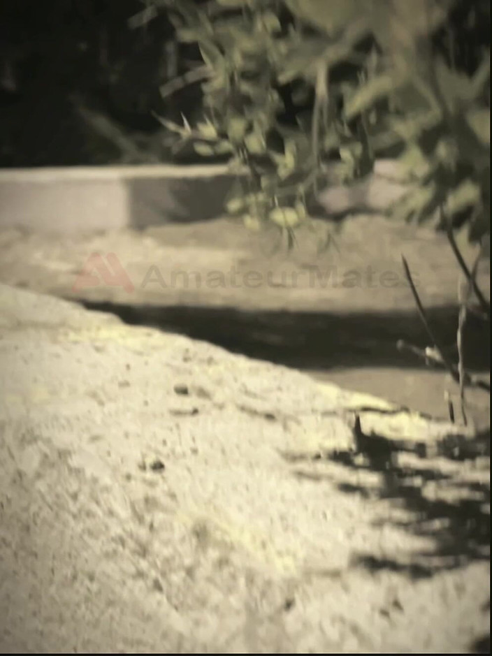 AmateurMates: Amateur Boy Sucks a Guy He Found Jerking-off in the...