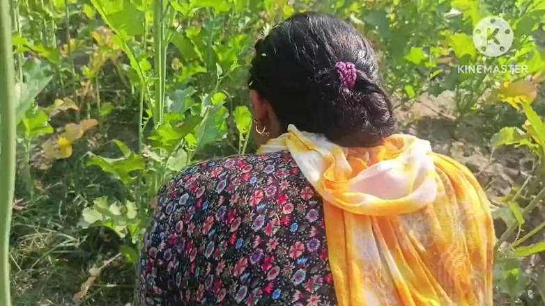 Savita5343: Vesnická desi bhabhi ošukaná v hořčickém poli zezadu. Venkovní sex...