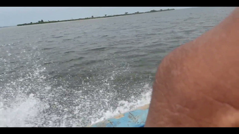 King Sasha's hub: A Journey Through the Sea