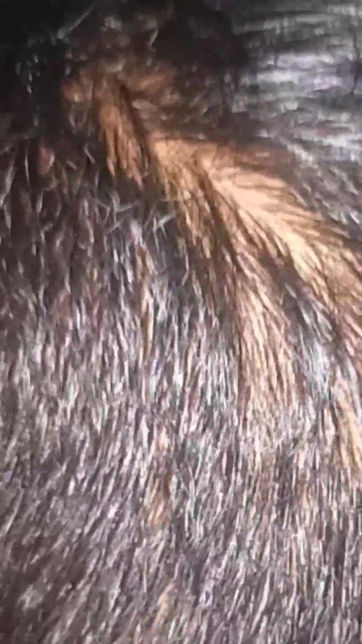 smtshukla: 大晦日、僕は昔の恋人と夜な夜な猛烈にセックスして新年を祝った