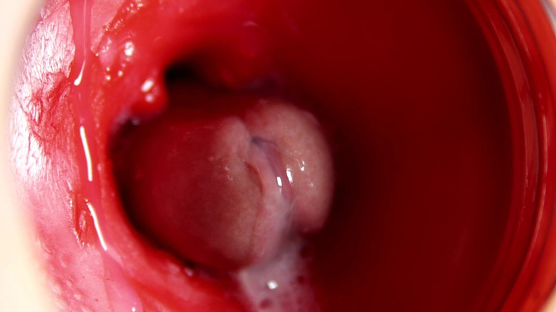 SEXY_GUYBEST: Camera in poesje: krachtig klaarkomen in poesje! Beste interne asmr...