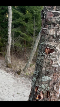 The Sound of Water, Drops Splashing