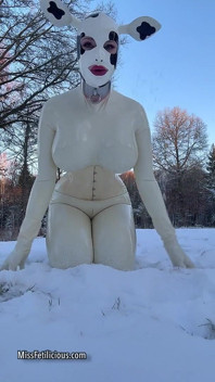 Snow Cow