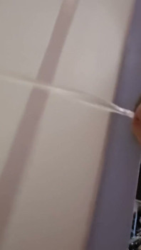 Pissing