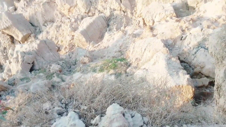 Abida sexy: Utomhus desi sex