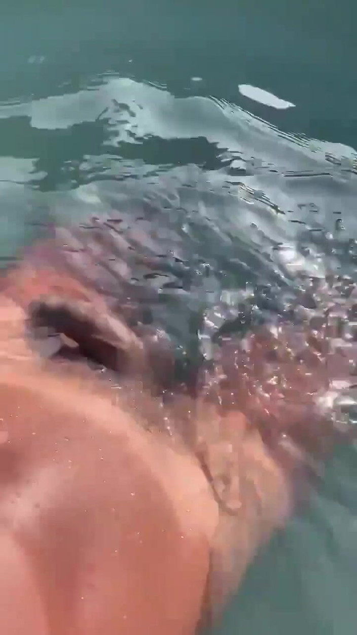 Vida Noite: Ascultând coloană sonoră gooning în piscină și masturbare