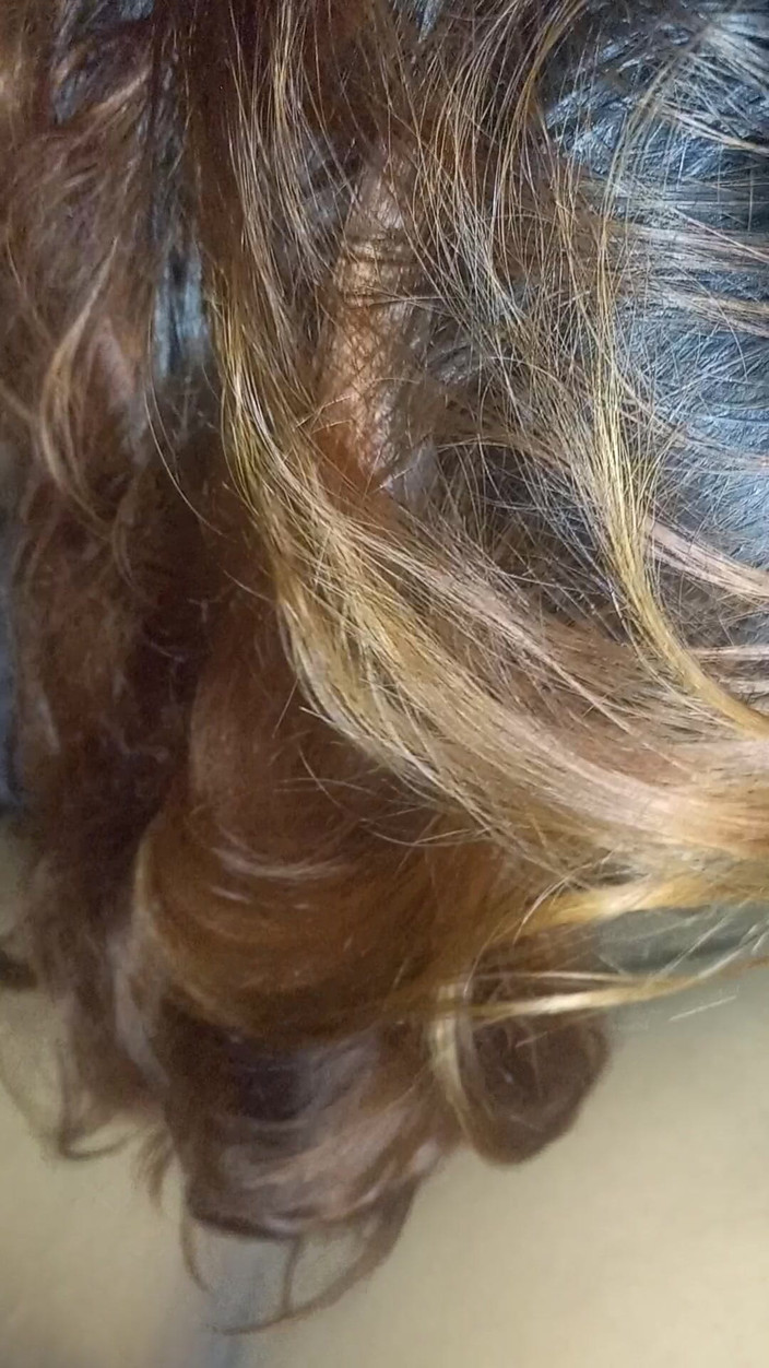 E-Alfa: B. Sání ptáka po večírku