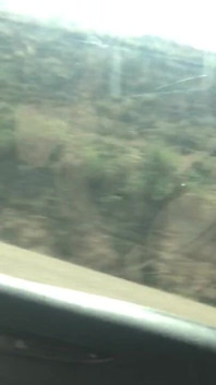 In the Car