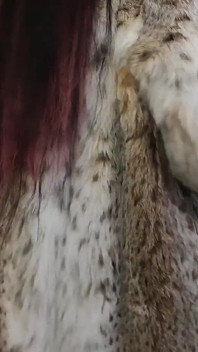 Aku lagi asik muasin memekku pakai jas fur lynx baru yang aduhai sampai muncrat