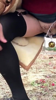 Trainer's Training Session No. 89: a Quiet Park Walk with Exposure and Peeing