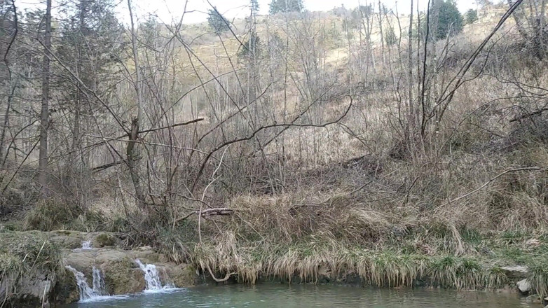 Elvissc: Excursionista de pollas grandes y gordas sin cortar descarga su...