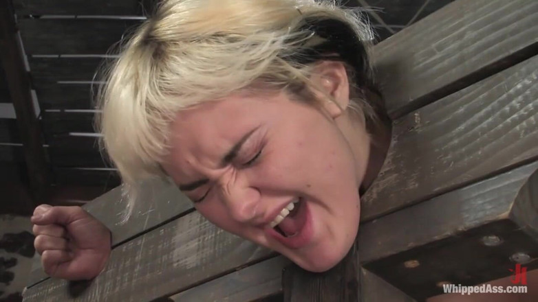 Whipped Ass by Kink: กระต่าย