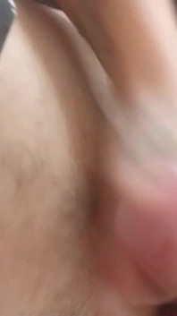 Penis